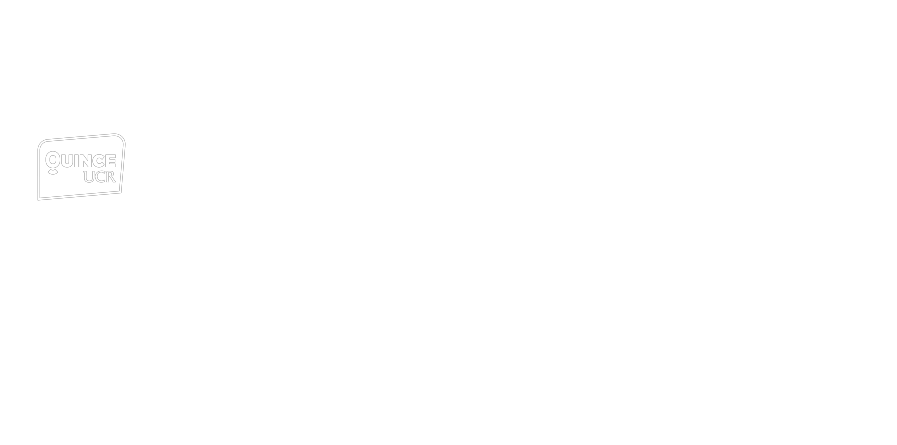 Organizador 2
