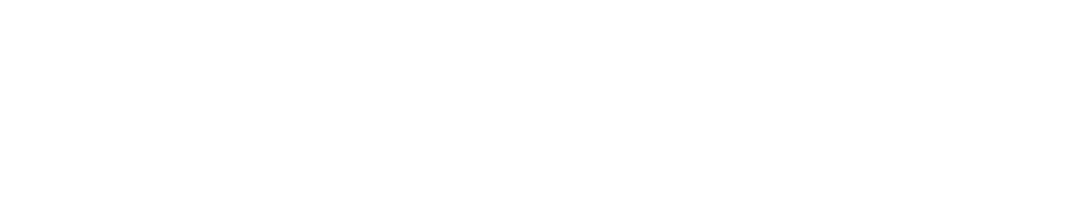 Organizador 1