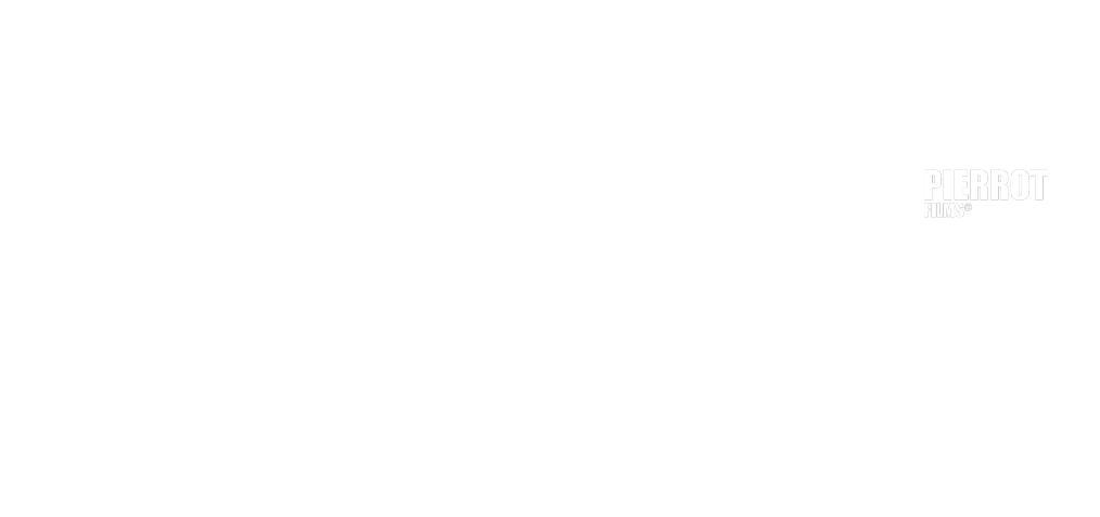Organizador 3