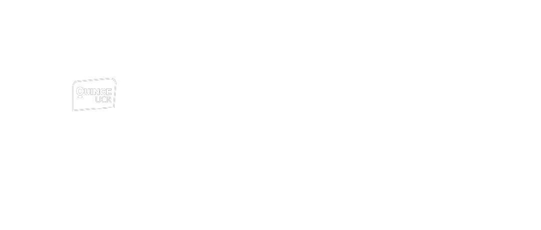 Organizador 2
