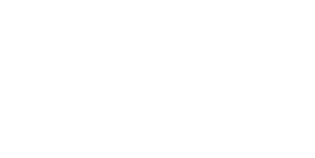 Organizador 3