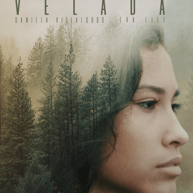 Afiche película Velada