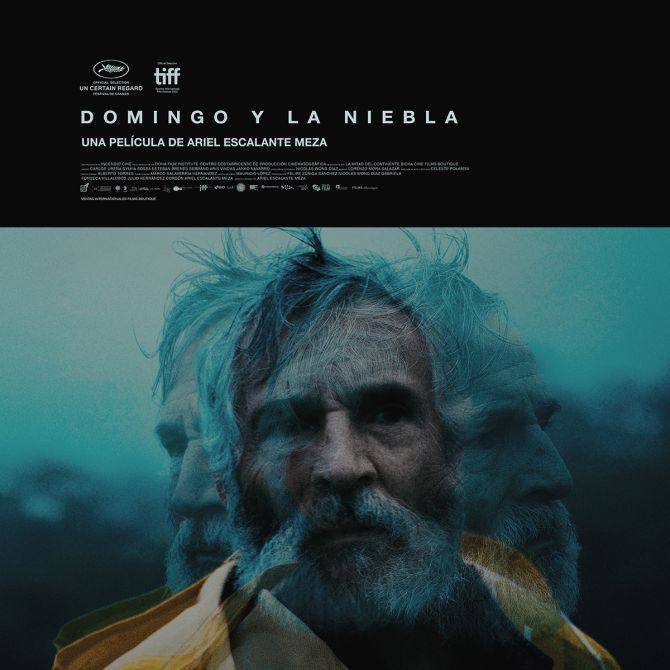 Domingo y la niebla