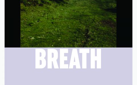 Afiche película Breath