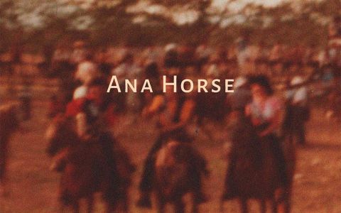 Ana Horse