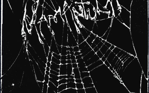 mamantula