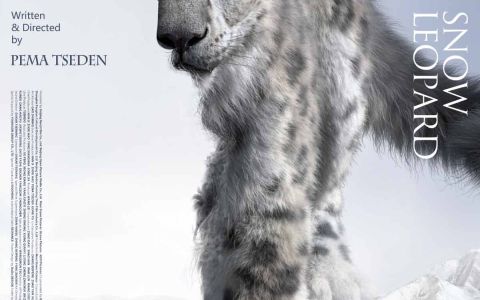 SNOW LEOPARD