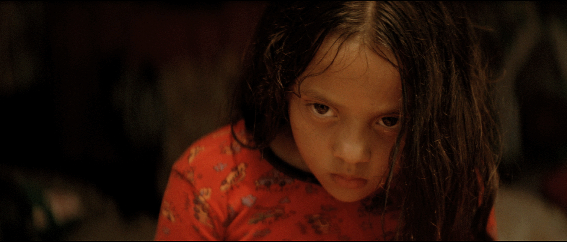 FESTIVAL_CINE