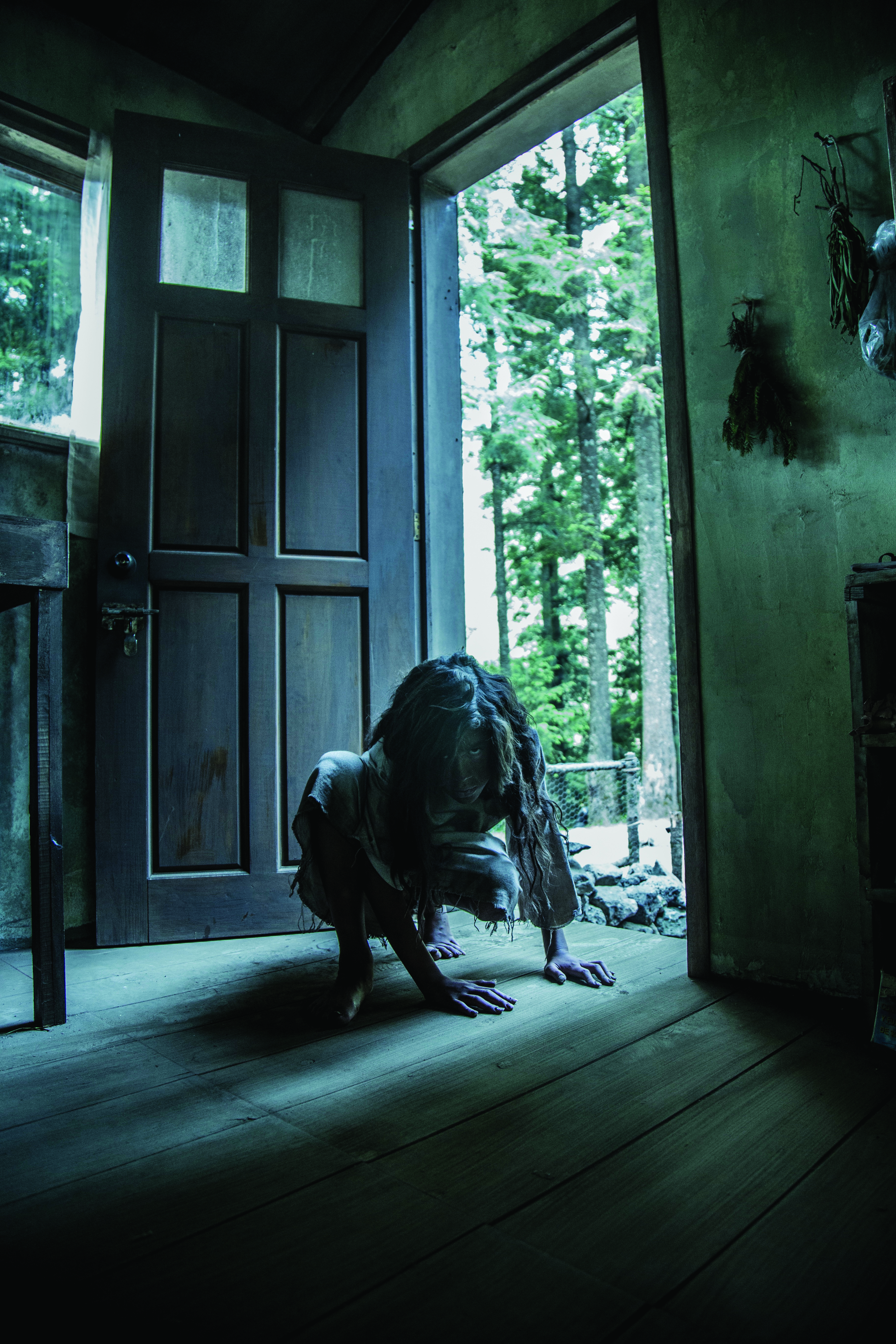 feral