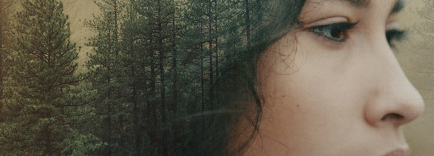 Afiche película Velada