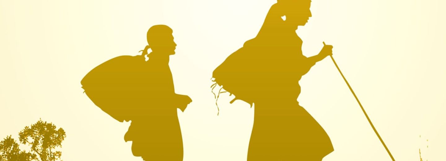 Afiche película Honeyland