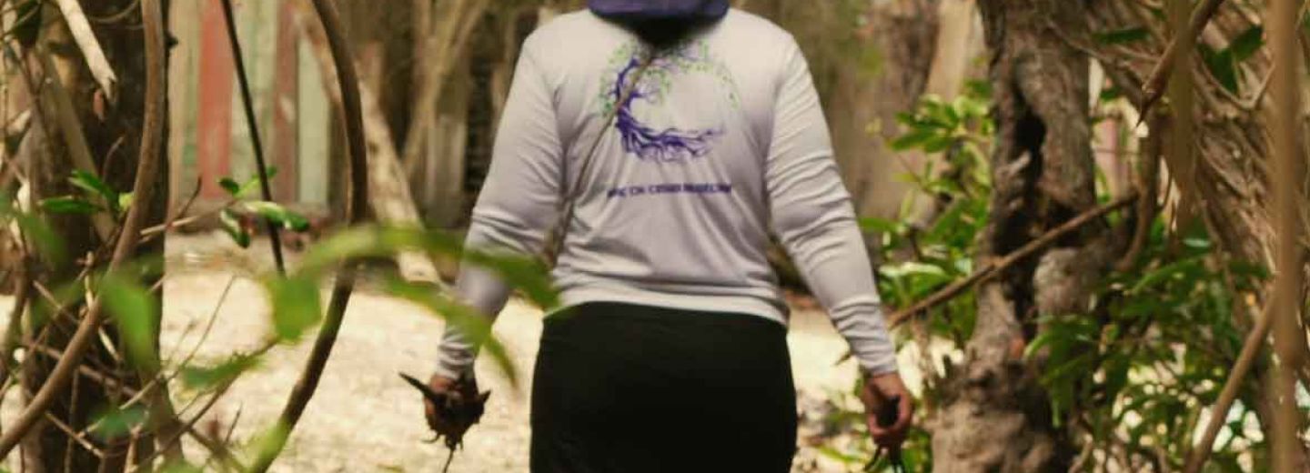 Mujeres del manglar