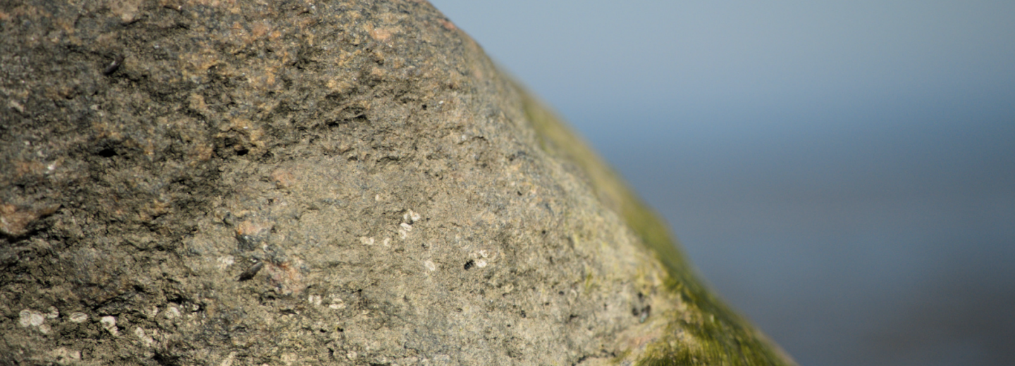 wombstone